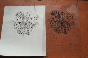 Drawing based on lichen with acetate version